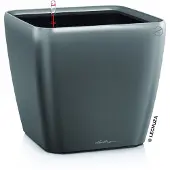 Lechuza Plantenbak Quadro Premium 21 LS antraciet metallic