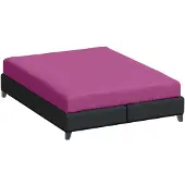 Bella Donna Hoeslaken Jersey Lits-jumeaux XL fuchsia-0540 200/220-200/240