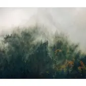 Overig Fotobehang Tales Of The Carpathians - Groen - 2,50m X 300cm