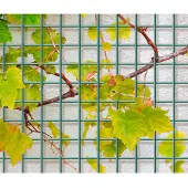 Giardino Tuinscherm Bari - Metaal - Antraciet - 180x90cm