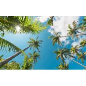 Overig Vanilla Lime Fotobehang Coconut Heaven Ii - Meerkleurig - 2,80m X 450cm