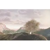 Overig Fotobehang Magische Plek - Meerkleurig - 2,50m X 400cm