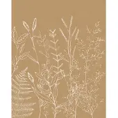 Komar Fotobehang Herbs Garden