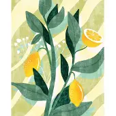Overig Fotobehang Lemon Fresh - Geel - 2,50m X 200cm