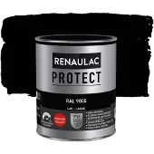 RENAULAC Houtlak Protect - Hoogglans - Gitzwart Ral 9005 - 750ml