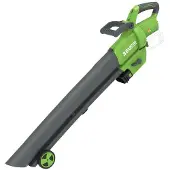 Central Park Accu Bladblazer En- Zuiger- 36v