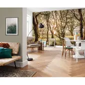 Komar Fotobehang Bold Birch - Meerkleurig - 2,50m X 400cm