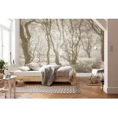 Komar Fotobehang Bleached Birch - Bruin - 2,50m X 300cm