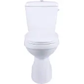 AquaVive Duoblok Toilet Ippari I Ao Aansluiting I Soft-close Toiletzitting Wit