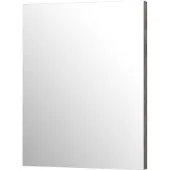 Aquazuro Spiegel Napoli 60cm Betongrijs