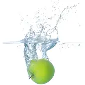 Aquazuro Wc-bril - Duroplast - D-vorm - Softclose - Verstelbaar - Quick Release - Met Appelprint