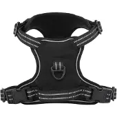 vidaXL Hondentuigje met riem en halsband verstelbaar XL zwart
