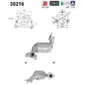 As 30216 Katalysator