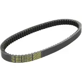 DAYCO 8118K V-snaar, Variomatik