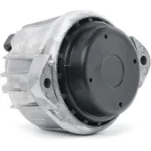 Delphi TEM099 Motorsteunlager