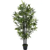 Intratuin Kunstplant Bamboe Zwart 50 X 50 X 170 Cm