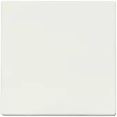 ION Industries Bedieningswip | Wisselschakelaar V1/J1 Mat Alpin Wit | IP20