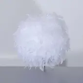 Corep Tafellamp Kokot Met Echte Witte Veren E14