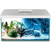 Aquael Shirmp D And N Compleet Aquarium 19l