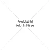 Apple Magic Keyboard toetsenbord USB + Bluetooth QWERTY Arabisch Zilver, Zwart