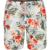 Superdry Zwemshorts opaal / groen / rood / wit