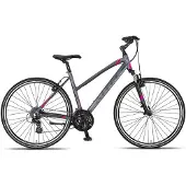 Altec Damesfiets Legarda 28 Inch 49 cm Dames 24V V-Brakes Antraciet