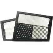 RIDEX 8A0098 Luchtfilter