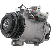 RIDEX 447K0410 Aircopomp