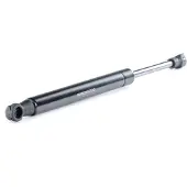 RIDEX 219G0893 Gasveer achterklep