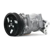 RIDEX 447K0325 Aircopomp