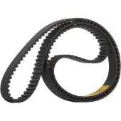 RIDEX 306T0031 Distributieriem