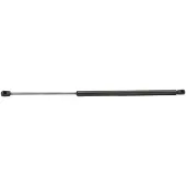 RIDEX 219G0310 Gasveer achterklep