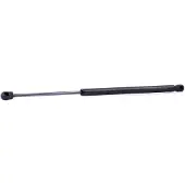 RIDEX 219G1055 Gasveer achterklep