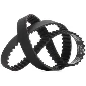 RIDEX 306T0282 Distributieriem
