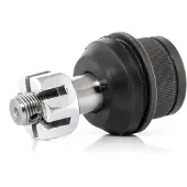 RIDEX 2462S0253 Fuseekogel