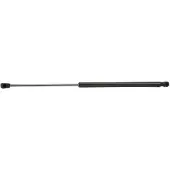 RIDEX 219G0868 Gasveer achterklep