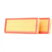 RIDEX 8A0169 Luchtfilter