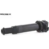 RIDEX 689C0134 Bobine