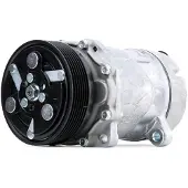 RIDEX 447K0217 Aircopomp
