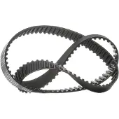 RIDEX 306T0099P Distributieriem