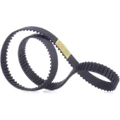 RIDEX 306T0061 Distributieriem
