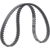RIDEX 306T0026 Distributieriem
