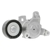 RIDEX 310T0259 Spanrol, poly V-riem
