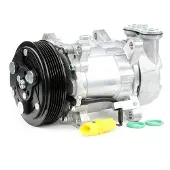 RIDEX 447K0177 Aircopomp