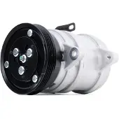 RIDEX 447K0201 Aircopomp