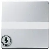ABB Busch-Jaeger adapterplaat met centrale sleuf IP44 - 2CKA001710A3796