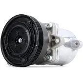RIDEX 447K0290 Aircopomp