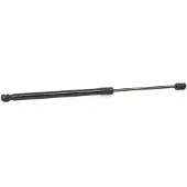 RIDEX 219G0955 Gasveer achterklep