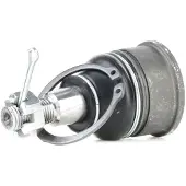 RIDEX 2462S0442 Fuseekogel
