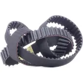 RIDEX 306T0149 Distributieriem